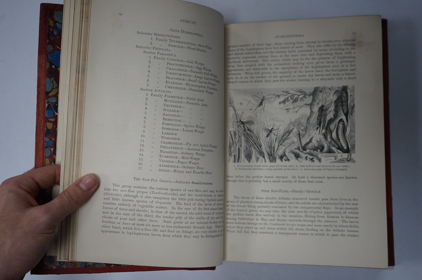 Zoology - Lydekker, R. (editor)The Royal Natural History. 6 vols., 4to, half red morocco gilt, 72 full page chromolithograph plates, Frederick Warne & Co., London and New York, 1893-1896.